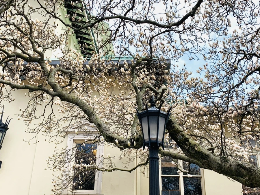 IMG_7210.jpg?type=w966