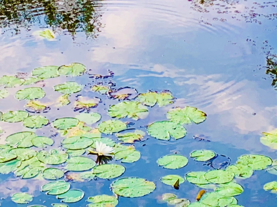 IMG_5838.jpg?type=w966