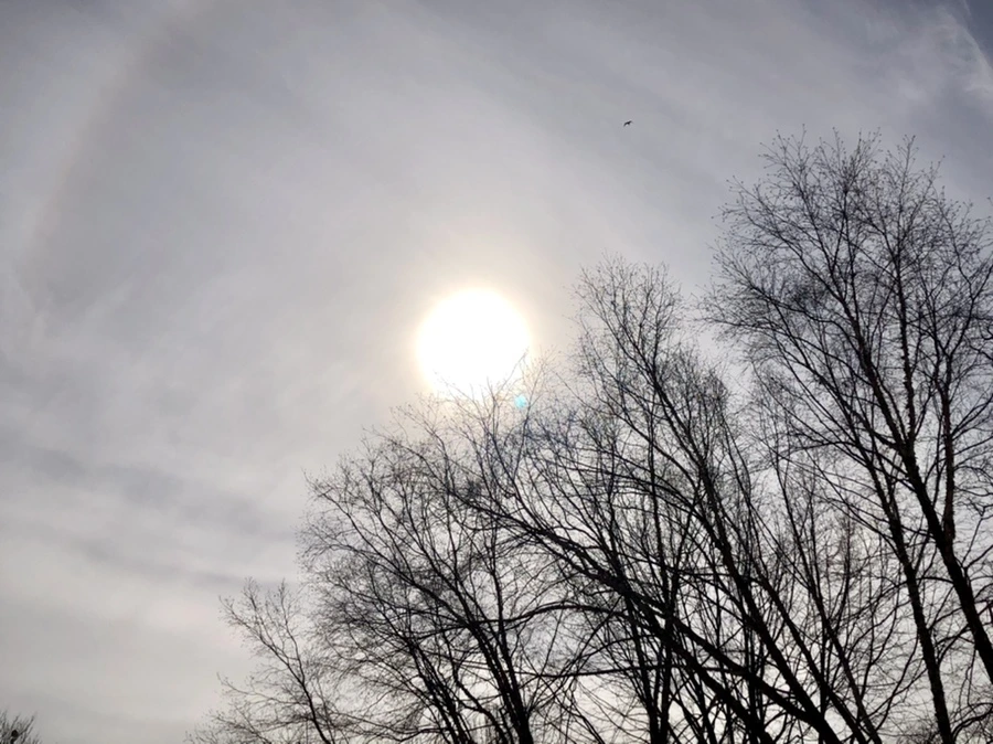 IMG_3088.jpg?type=w966