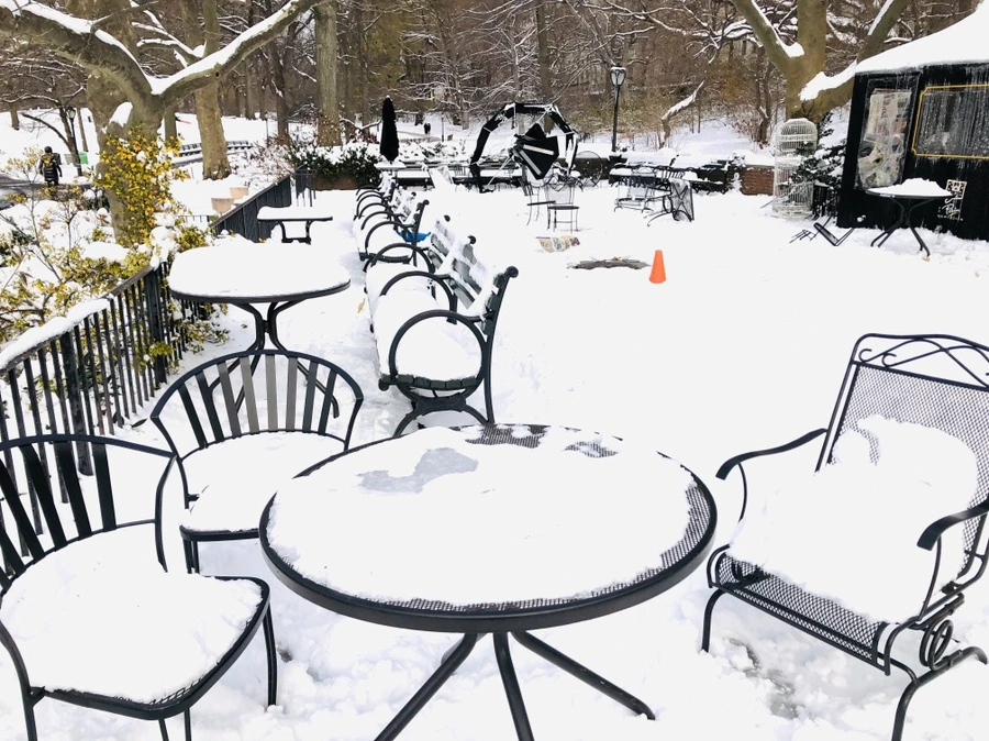 IMG_7260.jpg?type=w966