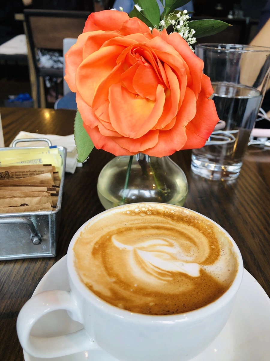 IMG_4929.jpg?type=w966