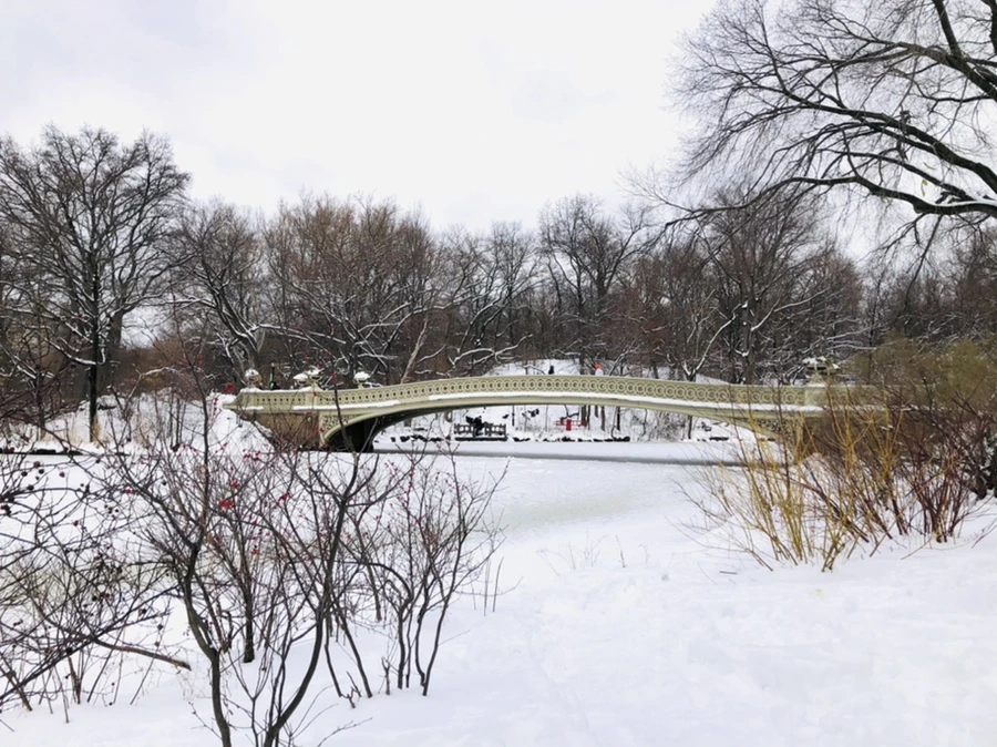 IMG_9478.jpg?type=w966