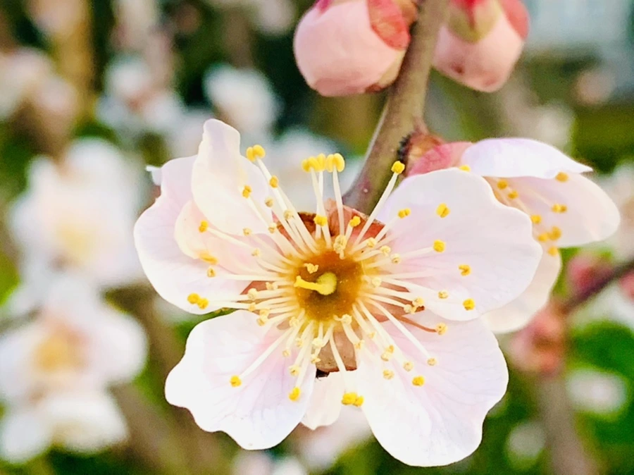 IMG_2341.jpg?type=w966