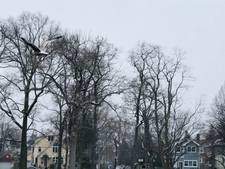 IMG_6279.jpg?type=w966