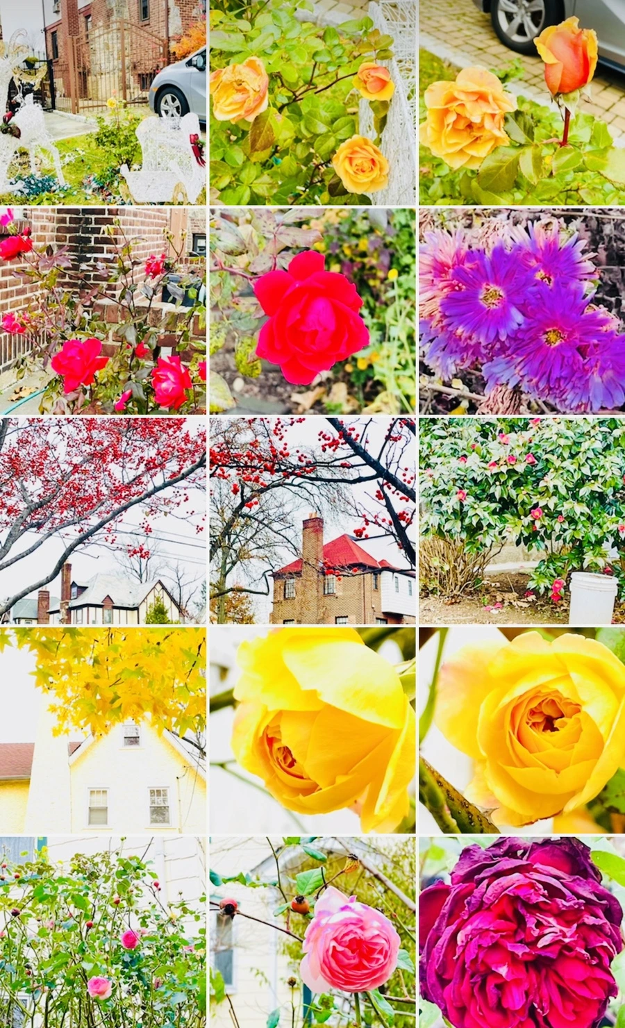 IMG_6223.jpg?type=w966