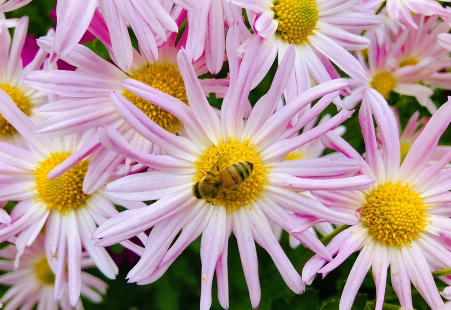 IMG_2686.jpg?type=w966