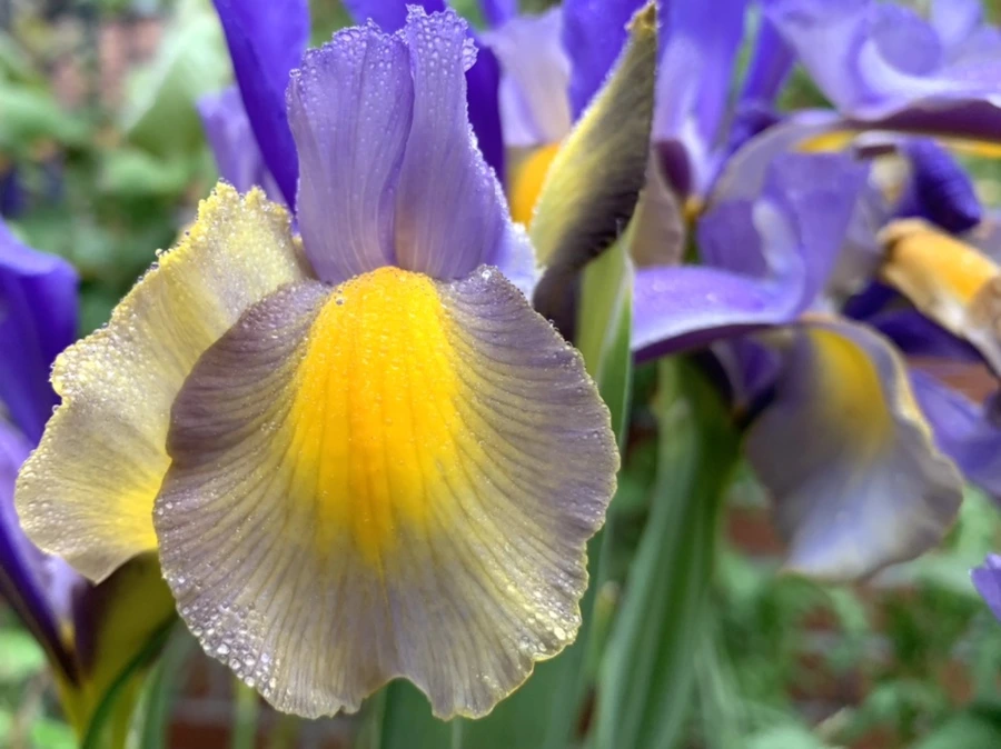 IMG_9701.jpg?type=w966