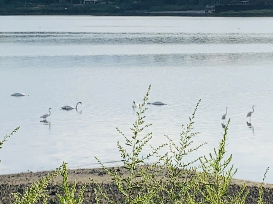 IMG_7800.jpg?type=w966