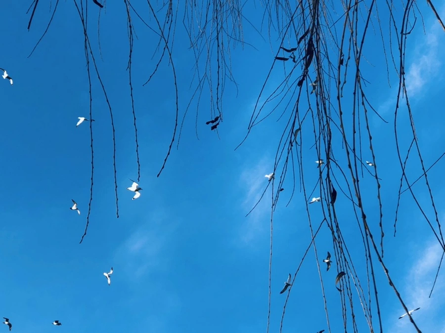 IMG_2570.jpg?type=w966