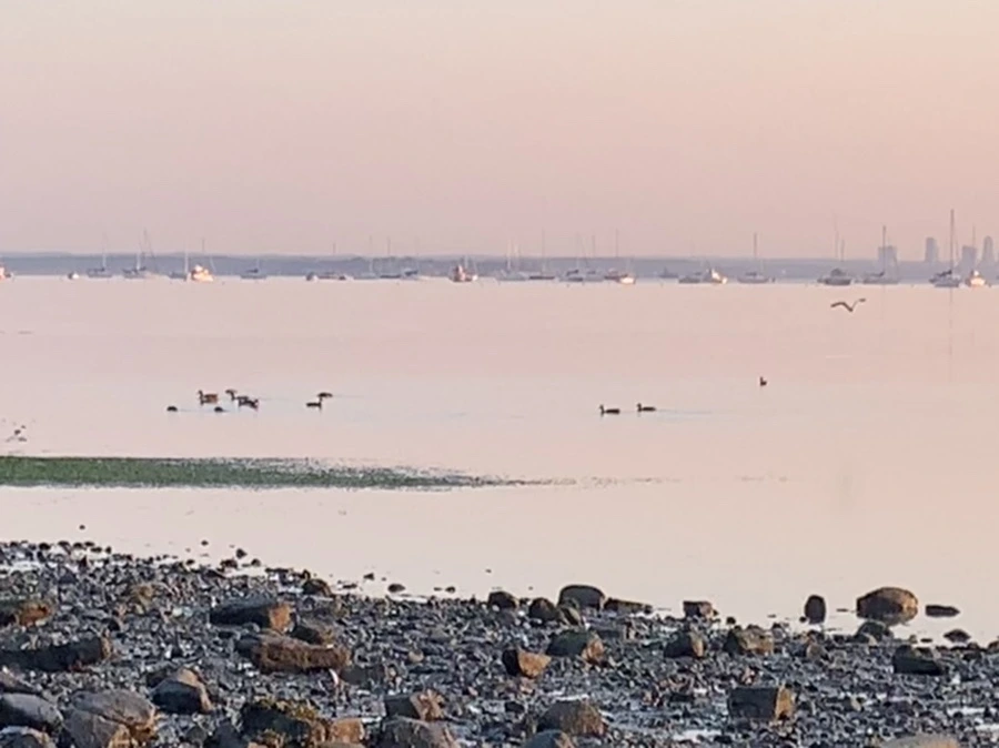 IMG_0206.jpg?type=w966