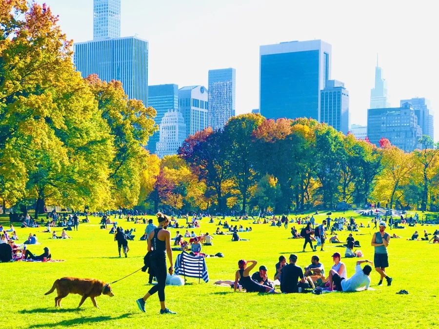 IMG_3939.jpg?type=w966