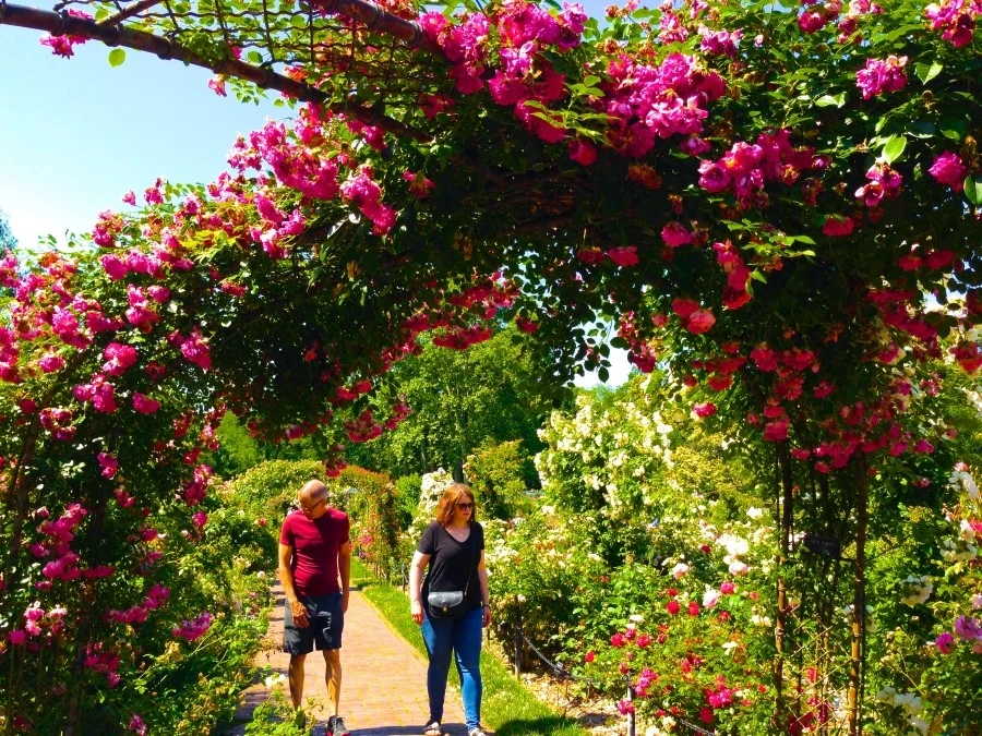 IMG_6194.JPG?type=w1