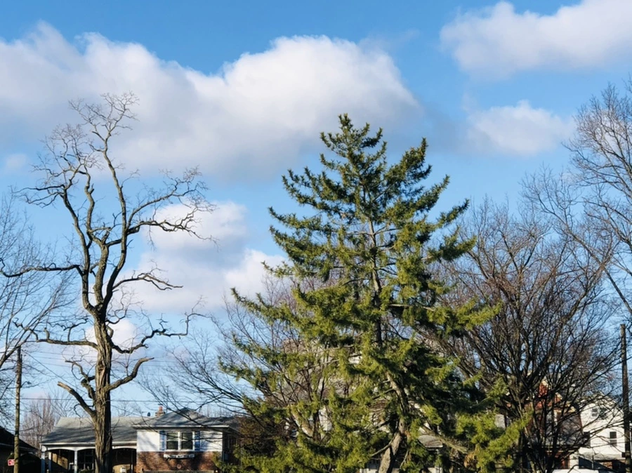 IMG_4054.jpg?type=w966