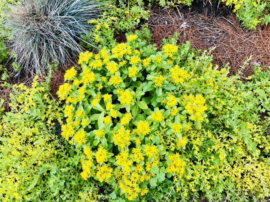 IMG_8381.jpg?type=w966