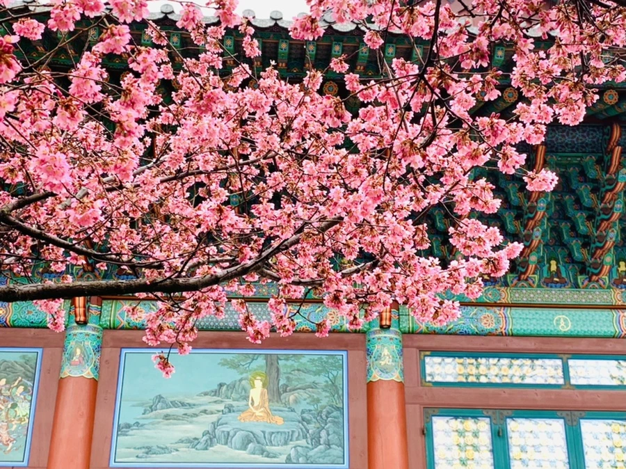 IMG_5278.jpg?type=w966