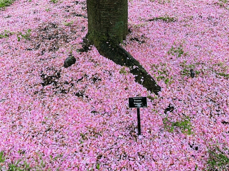 IMG_9861.jpg?type=w966