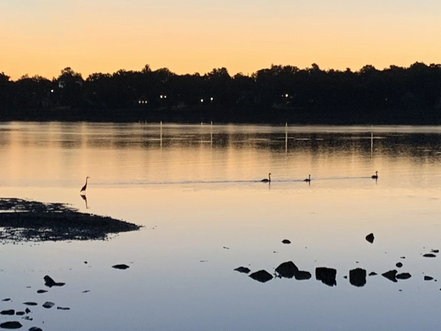 IMG_4086.jpg?type=w966