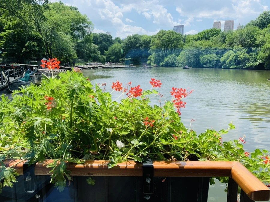 IMG_8578.jpg?type=w966