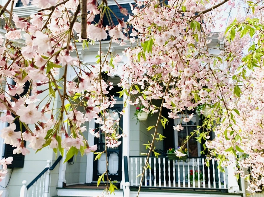 IMG_3745.jpg?type=w966