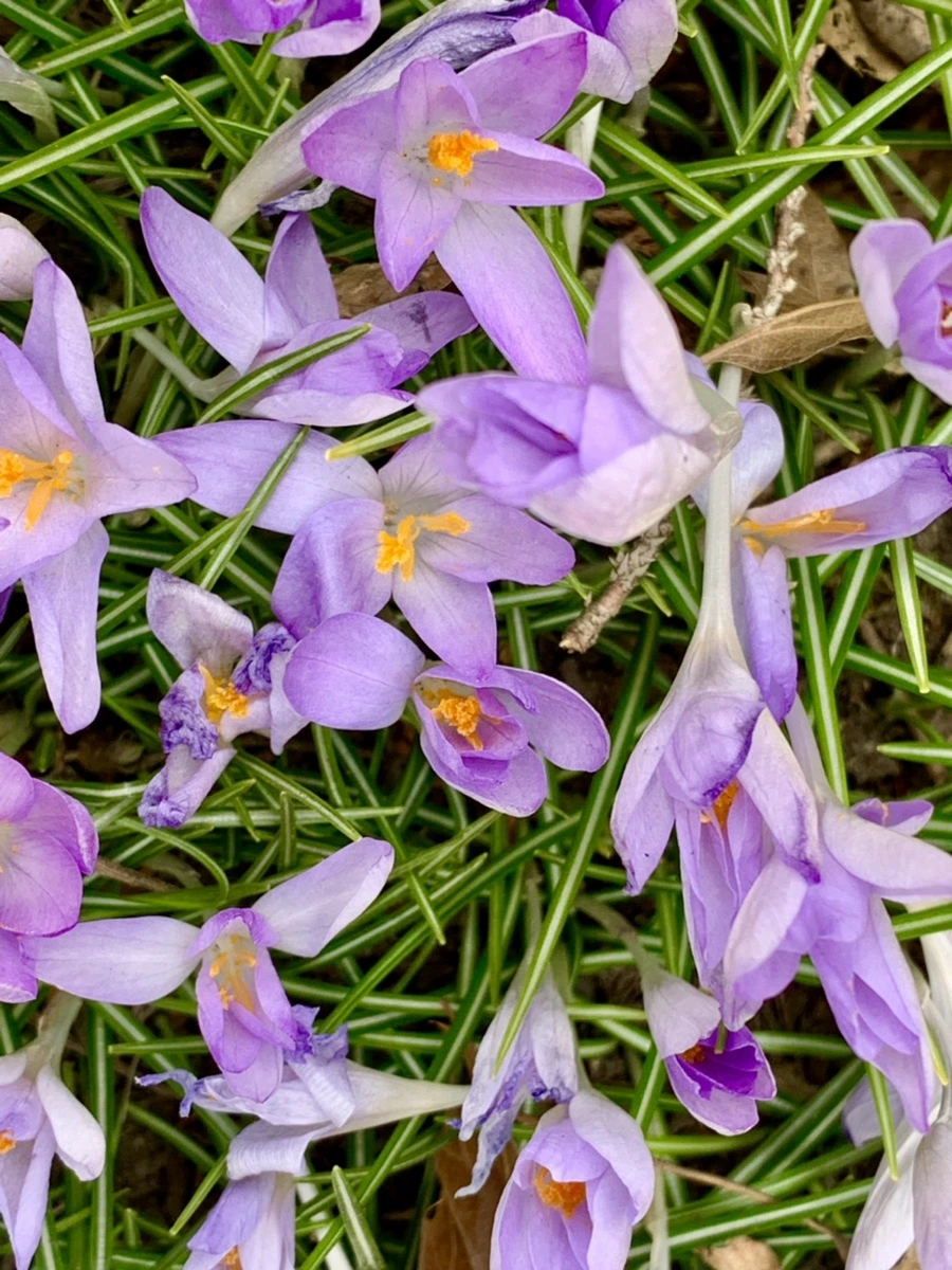 IMG_1721.jpg?type=w966