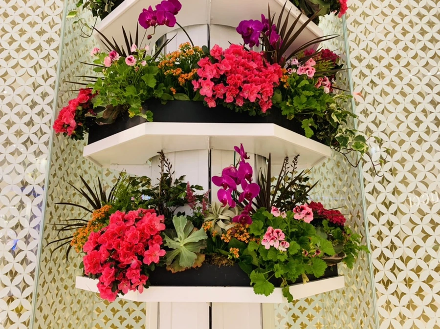 IMG_1587.jpg?type=w966