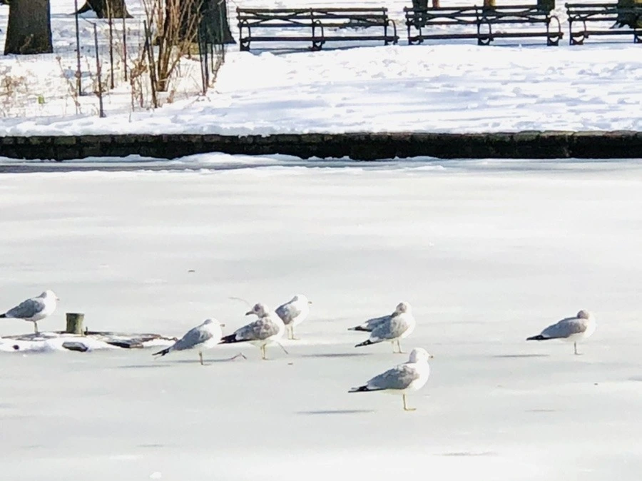 wUIfUUXRs6A263NKiVPrkZ_PPtI