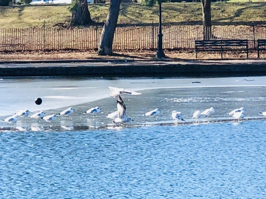 IMG_6608.jpg?type=w966