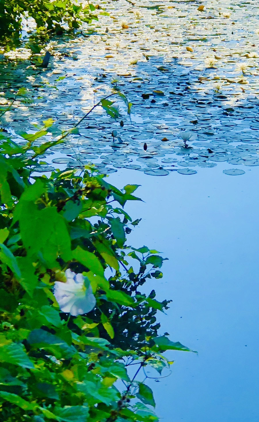 IMG_3956.jpg?type=w966