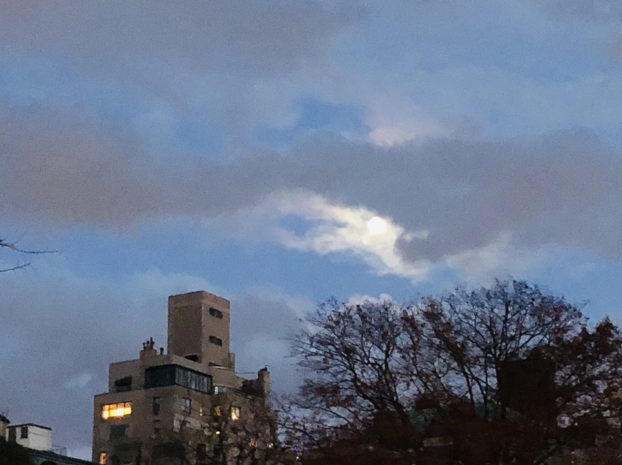 IMG_5588.jpg?type=w966