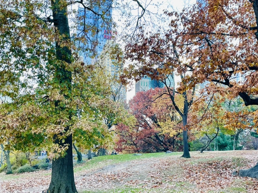 IMG_5060.jpg?type=w966