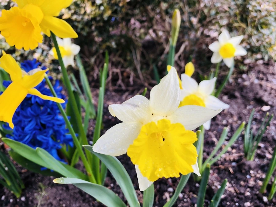 IMG_2360.jpg?type=w966