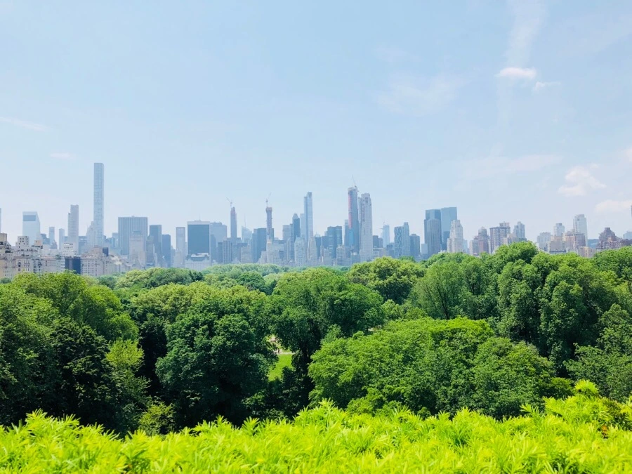 IMG_6467.jpg?type=w966