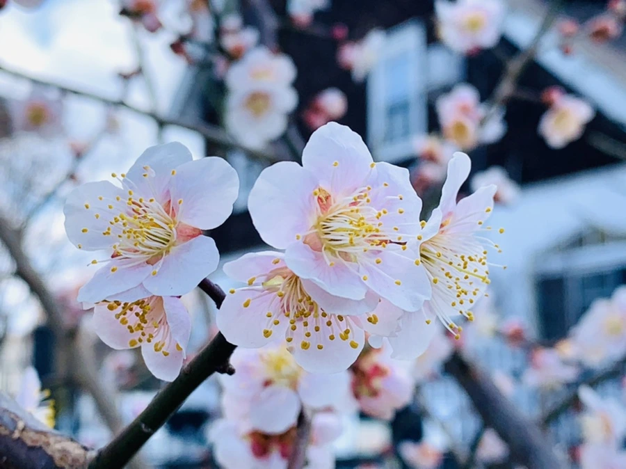 IMG_0990.jpg?type=w966