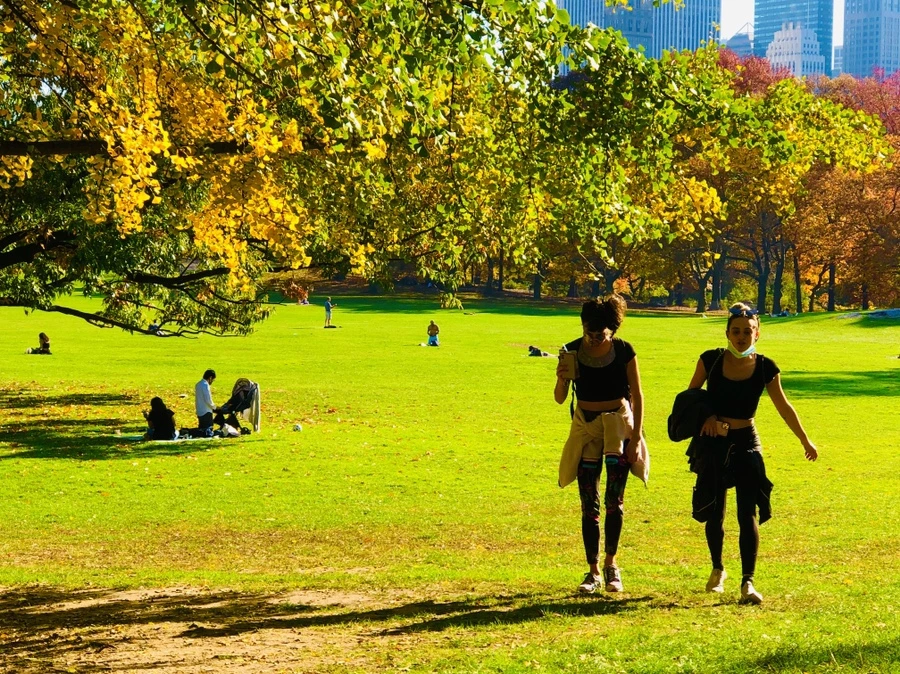 IMG_4353.jpg?type=w966