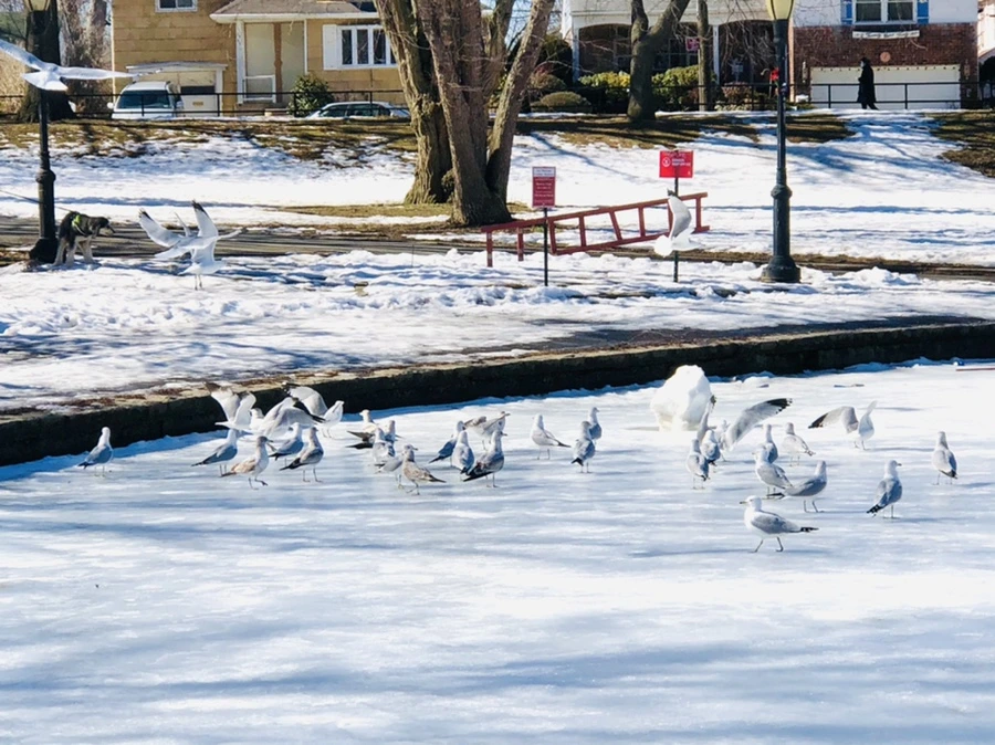 IMG_4744.jpg?type=w966