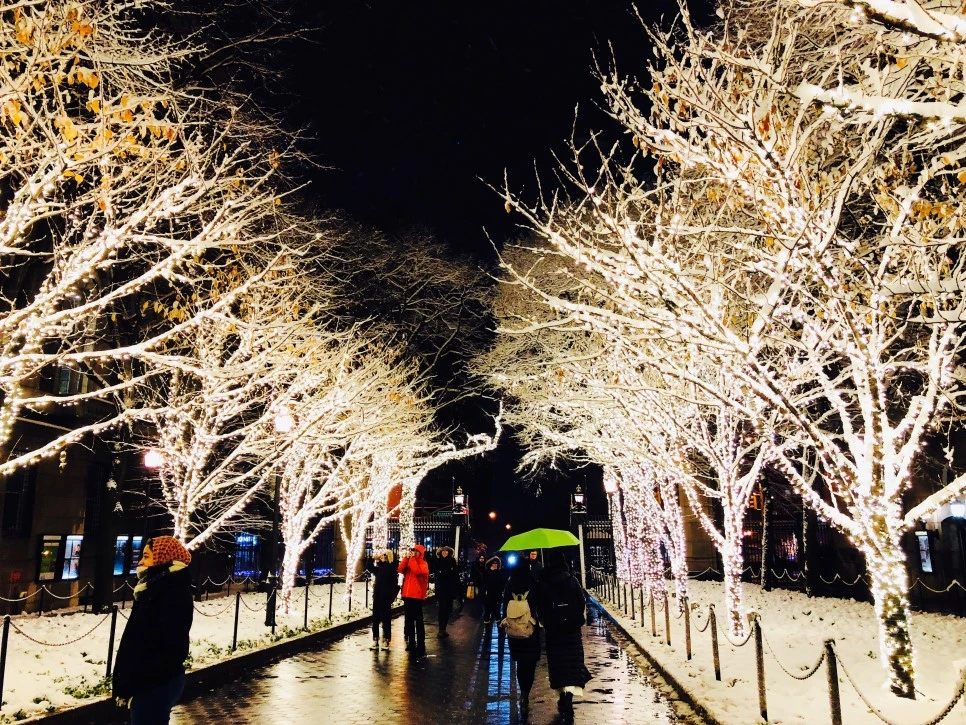 IMG_E2102.jpg?type=w966