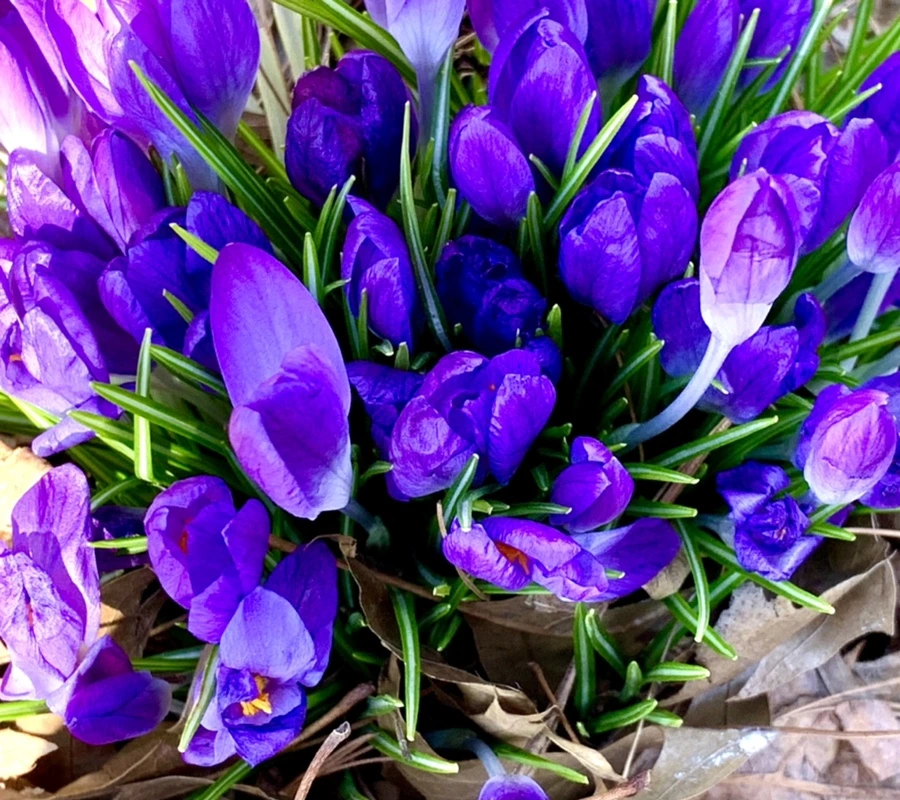 IMG_1504.jpg?type=w966