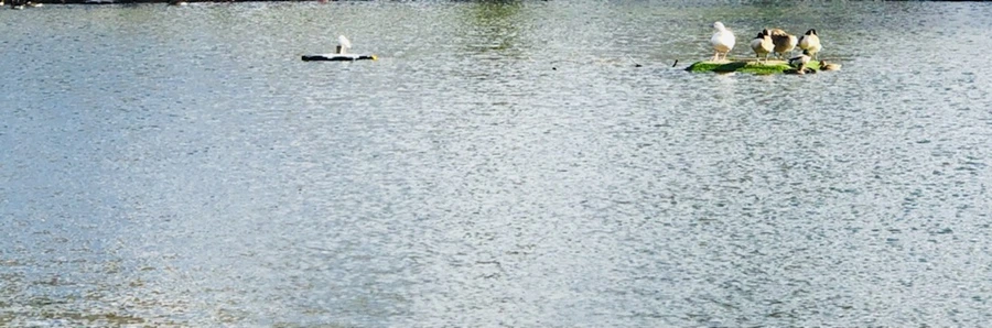 IMG_9226.jpg?type=w966