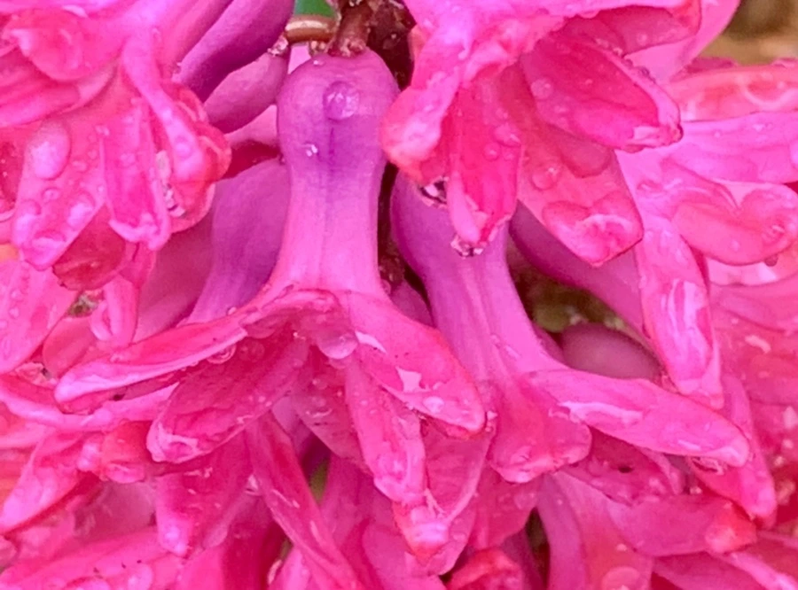 IMG_5043.jpg?type=w966