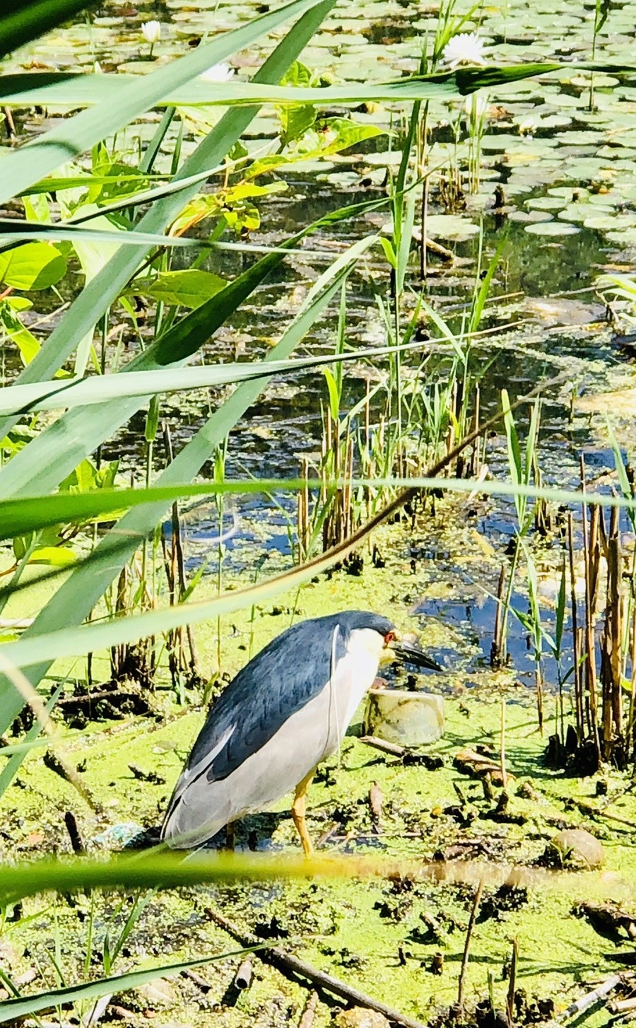 GnMrX584IsjrFs16pbznyKoLVdw