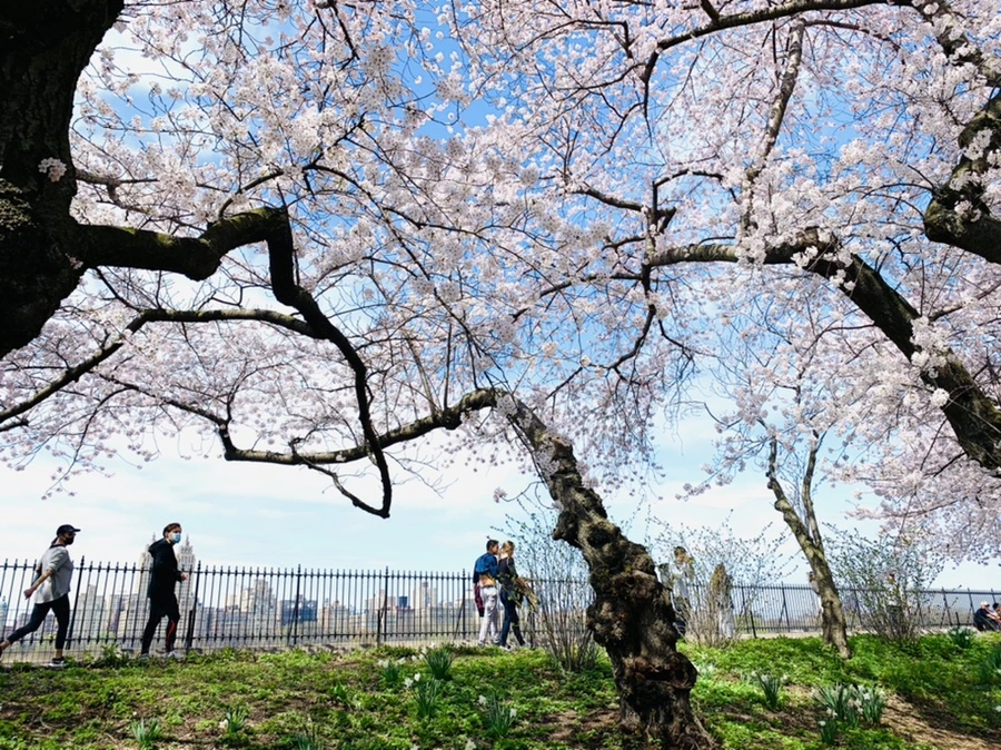 IMG_0167.jpg?type=w966