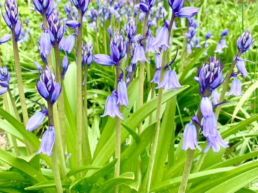 IMG_9580.jpg?type=w966