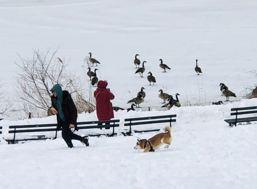 IMG_9506.jpg?type=w966