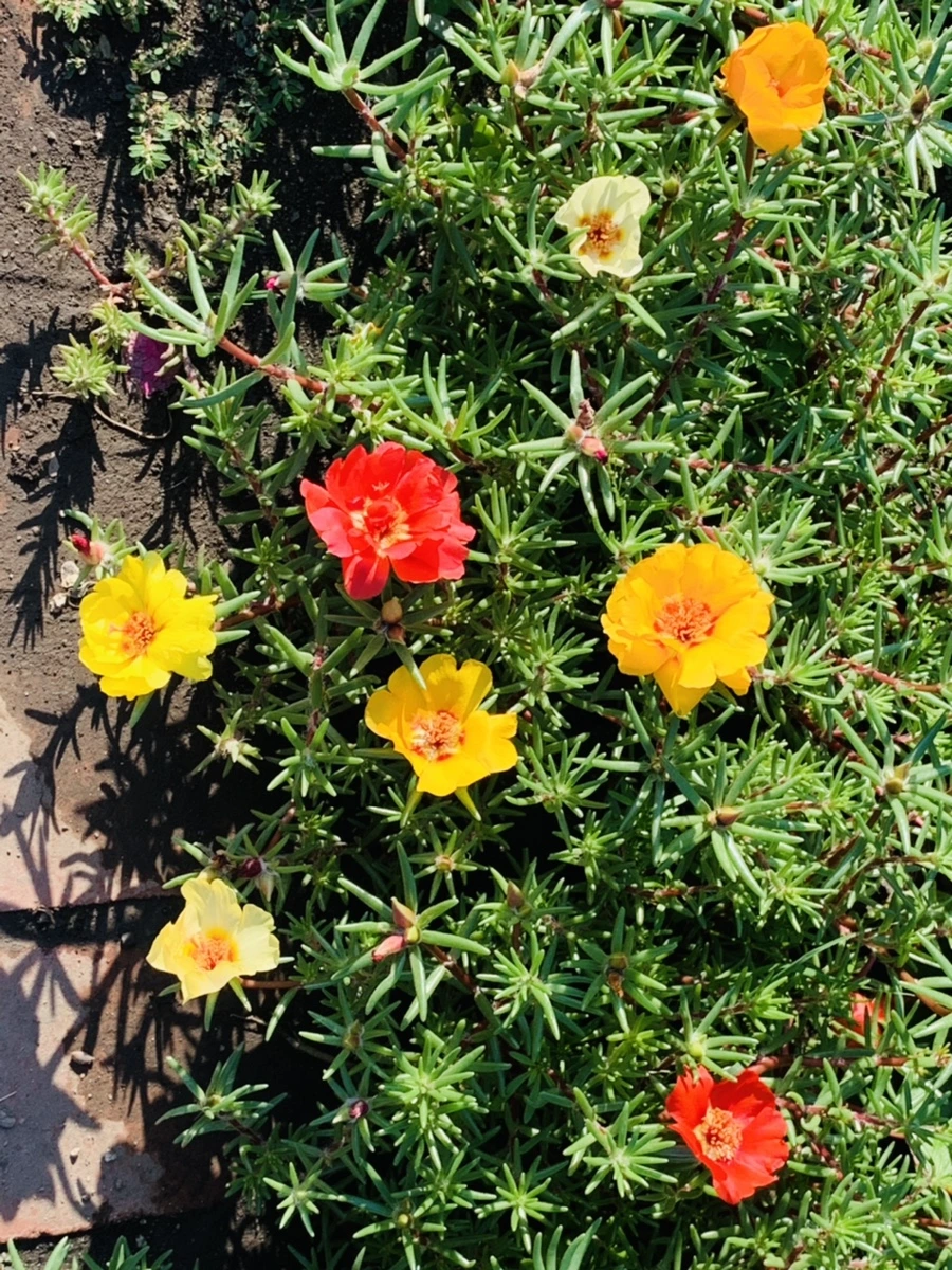 IMG_8394.jpg?type=w966