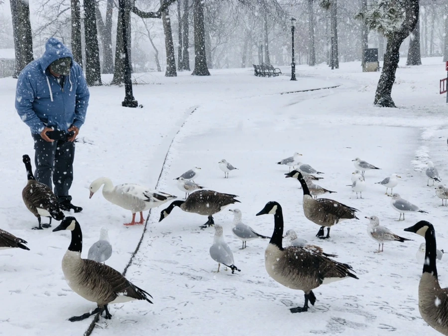 IMG_4181.jpg?type=w966