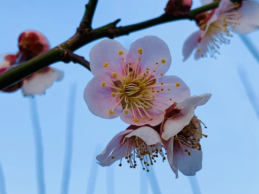 IMG_2754.jpg?type=w966