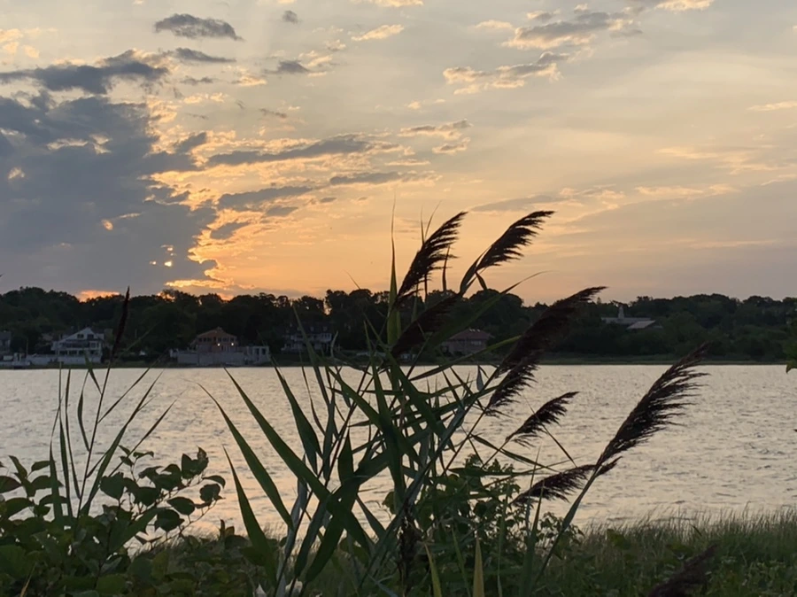 IMG_1741.jpg?type=w966