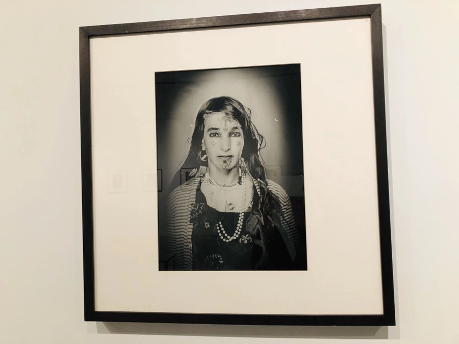 IMG_4425.jpg?type=w966