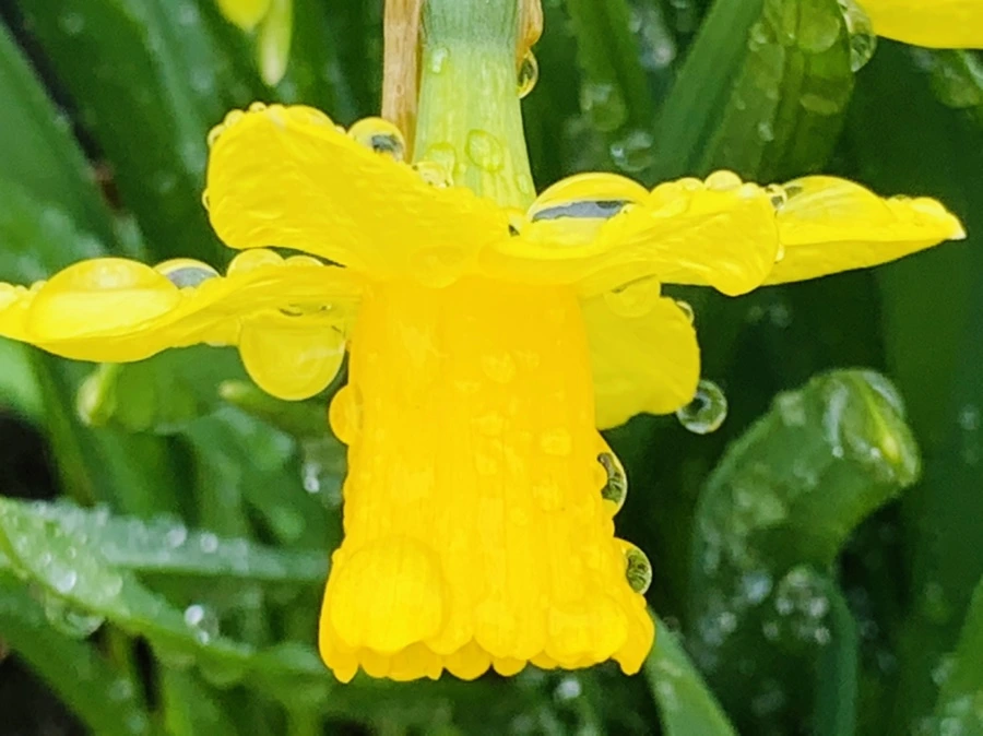 IMG_3728.jpg?type=w966