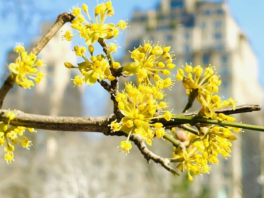 IMG_5550.jpg?type=w966